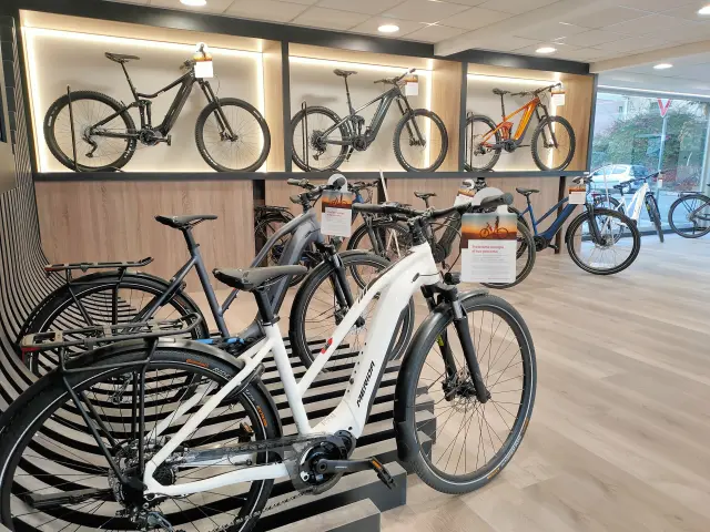 Faieta Bike Pescara