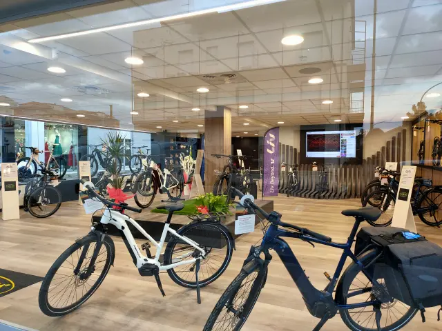 Faieta Bike Pescara