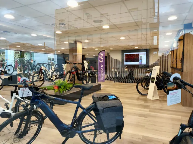 Faieta Bike Pescara