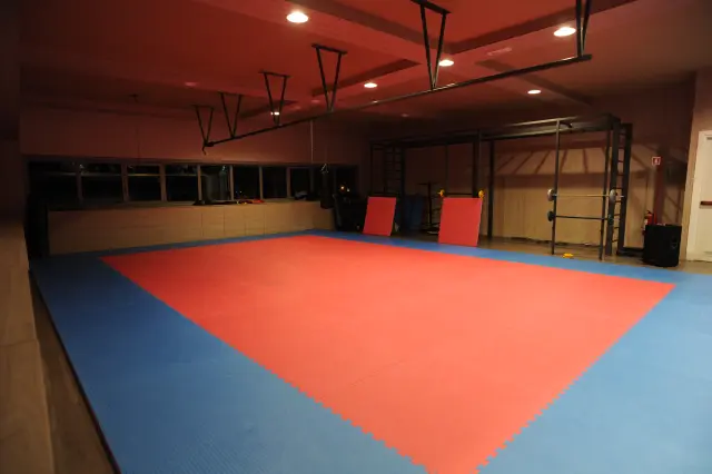 Palestra Academy