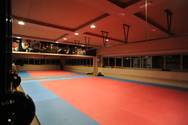 Palestra Academy
