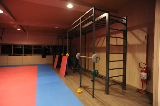 Palestra Academy