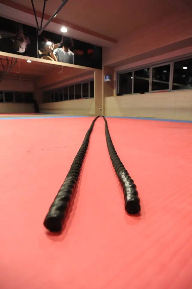 Palestra Academy