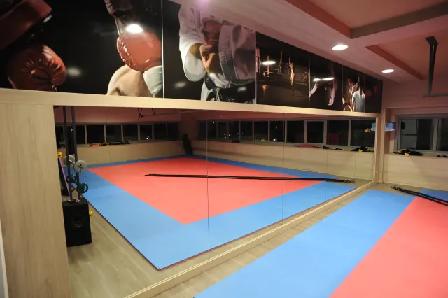 Palestra Academy