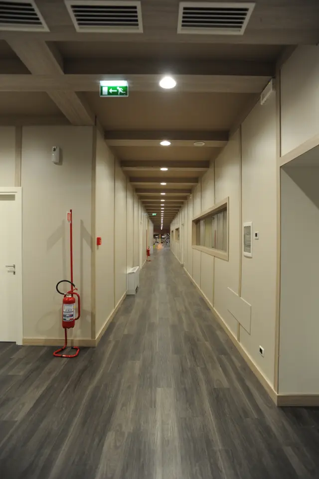 Palestra Academy