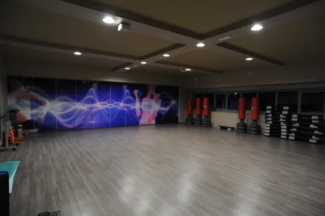 Palestra Academy