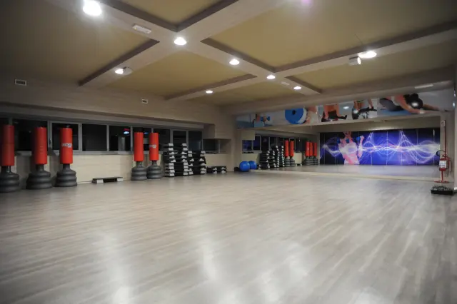 Palestra Academy