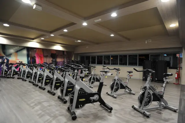 Palestra Academy