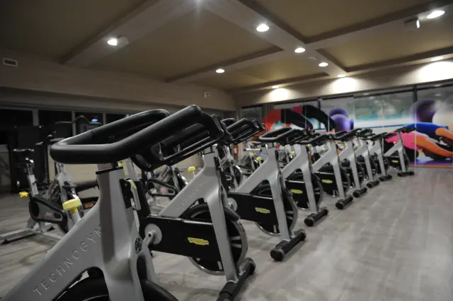 Palestra Academy