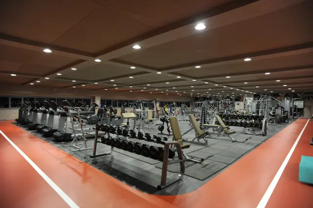Palestra Academy