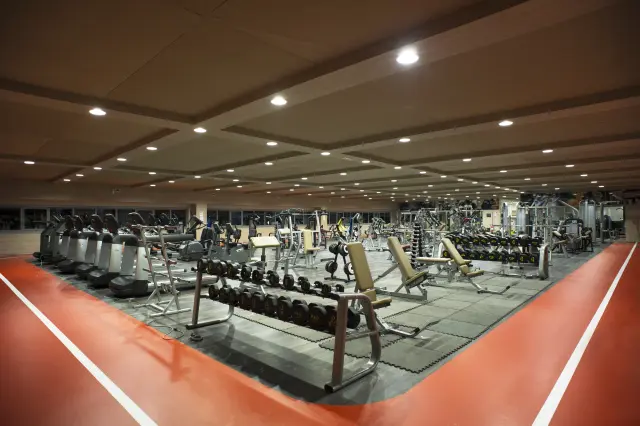 Palestra Academy