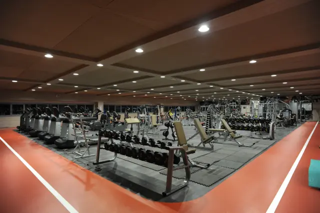 Palestra Academy