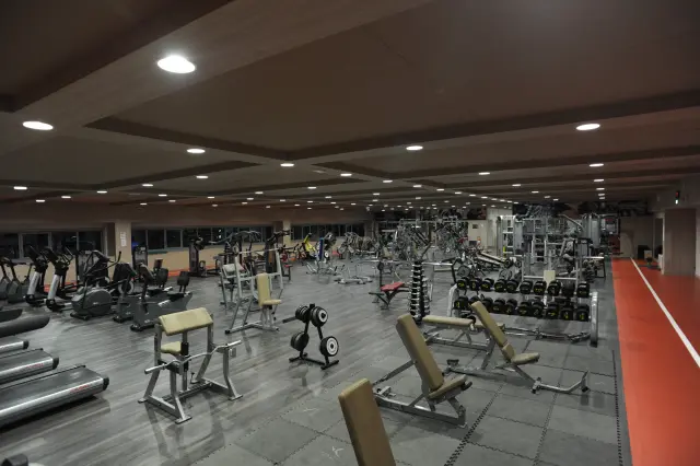 Palestra Academy