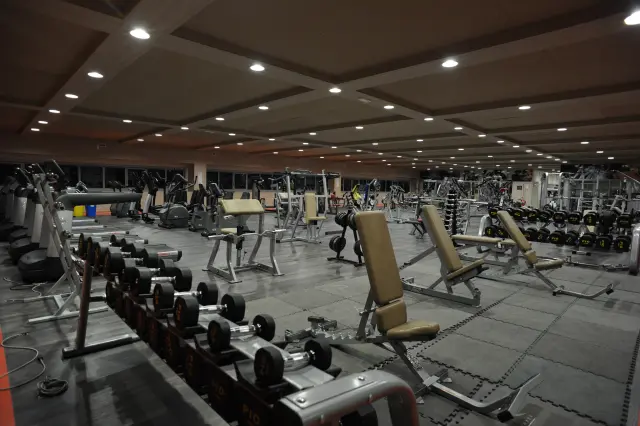 Palestra Academy