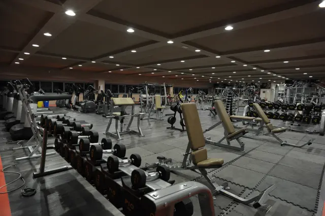 Palestra Academy