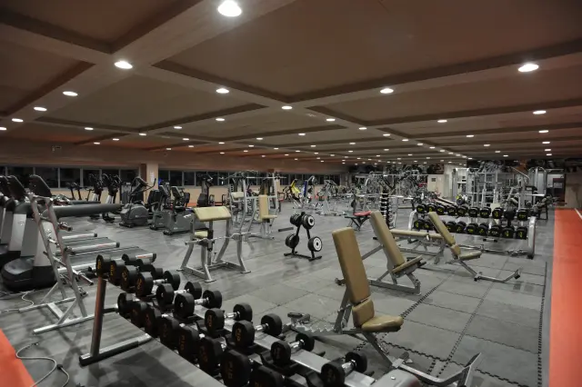 Palestra Academy