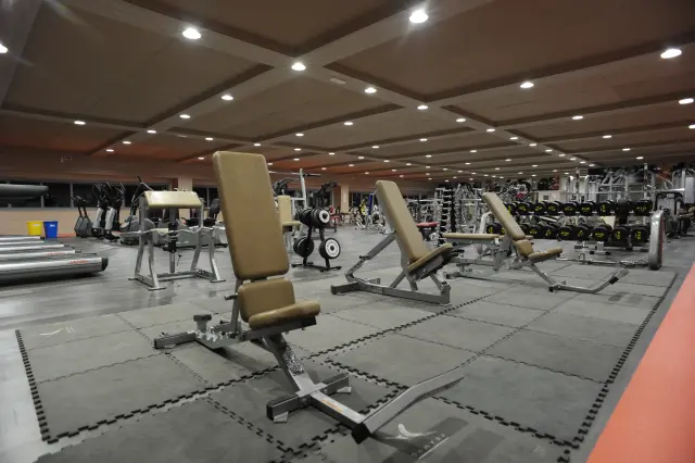 Palestra Academy