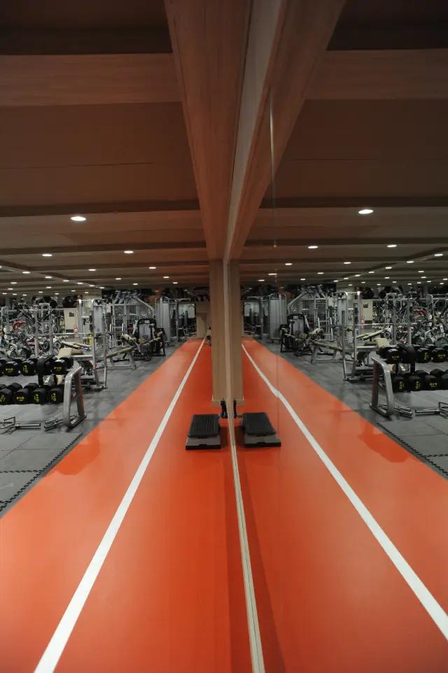 Palestra Academy