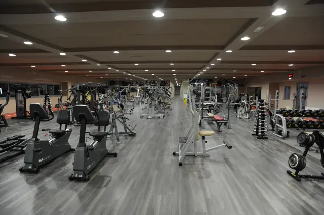 Palestra Academy