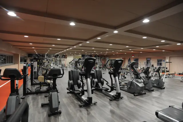 Palestra Academy