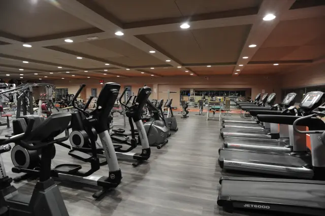 Palestra Academy