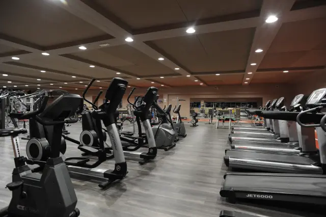 Palestra Academy