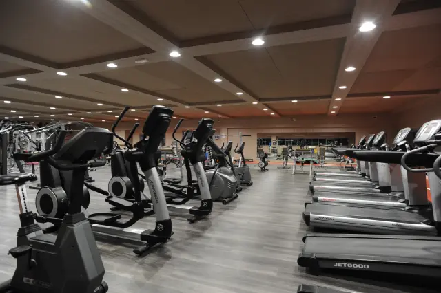 Palestra Academy
