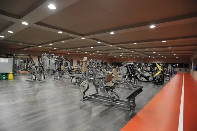 Palestra Academy