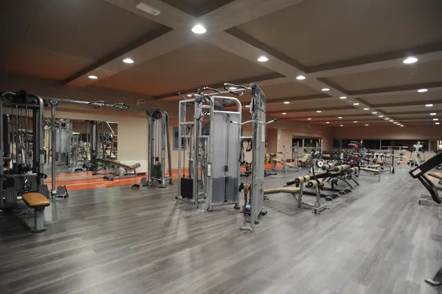 Palestra Academy