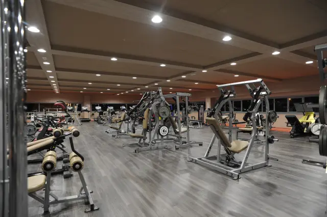 Palestra Academy