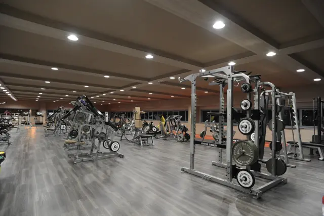 Palestra Academy