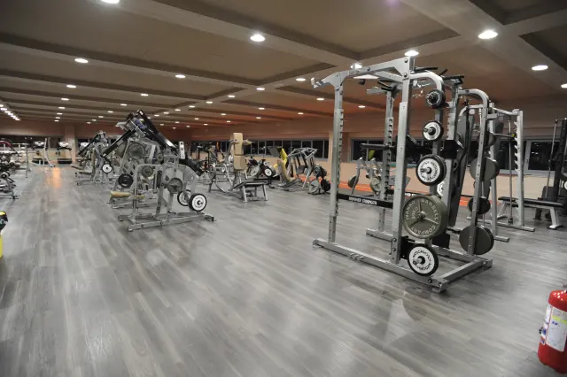 Palestra Academy
