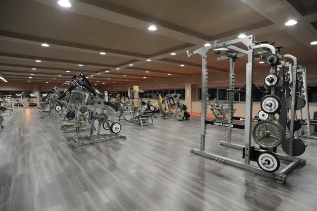 Palestra Academy
