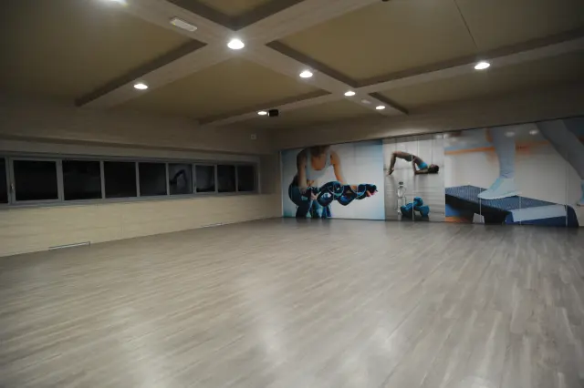 Palestra Academy