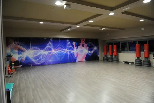 Palestra Academy