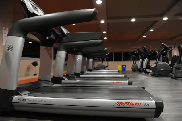 Palestra Academy