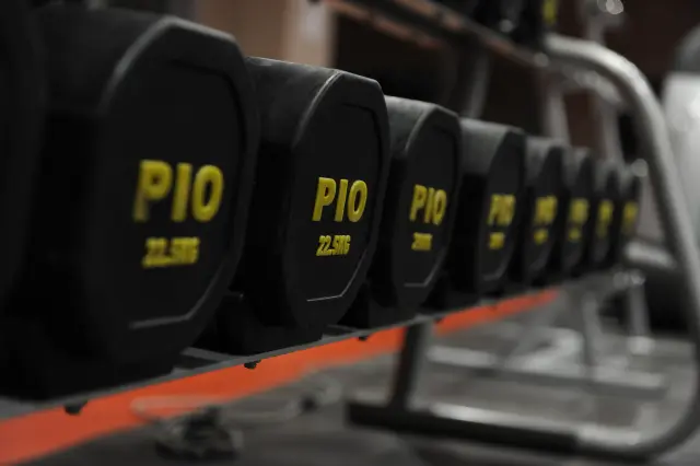 Palestra Academy