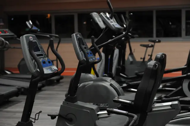 Palestra Academy