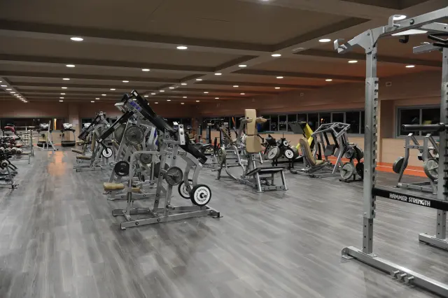 Palestra Academy